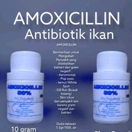 amoxilin obat antibiotik ikan