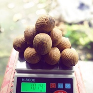 1KG BUAH KULIM SEGAR MUSIM BARU OGOS 2025