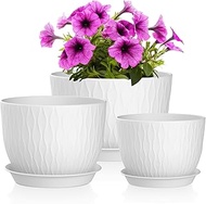 QRRICA Plant Pots 12/10/9 Inch Pots, Set of 3 Plastic Planters with Drainage Holes and Saucers,Plast
