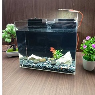 3mm Acrylic Aquarium Size 30x20x25 Cm with Filter, Thick, Strong Acrylic Material