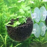 Mini Red Shrimp Aquatic Plant Crystal Glass Pot for Aquarium Cup Holder Tank Fish Tank