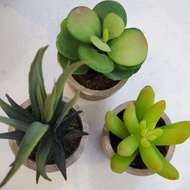 T4U Mini Artificial Succulent Plants with Pots – Plastic Decor for Home & Office