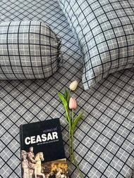 M6/M8 Bộ ga giường thun lạnh Hàn Quốc [ 4 MÓN ] in 3D màu cực xinh ( 1 ga + 2 áo nằm +1 áo ôm )