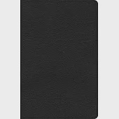 CSB Everyday Study Bible, Black Genuine Leather