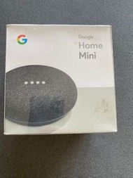 Google home mini