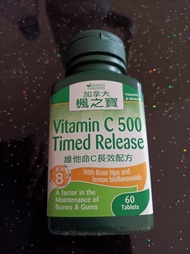 Adrien Gagnon Vitamin C 500 Timed Release 加拿大楓之寶 維他命C長效配方