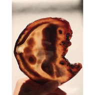 Purify & Cleanse Agate Slice Healing Stone Home Decoration 175 grams