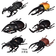 Simulation Beetle Toy Unicorn Beetle Model Stall Children's Tricky Toy KJWY