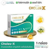 CHOLES-X Stainless X Dietary Supplements Complete In One Tablet DHA K2 D3 Q10 Olive Oil B3 Ordered D