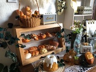 🌱前開式木展示櫃仔 🪵miniature 微縮 微型 可配 re-ment Mimo t for candy 孖妹 黏土人 扭蛋