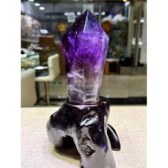 Live link link link 1 Horse Coin