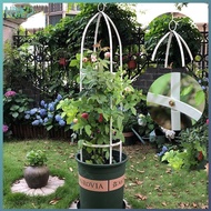 Wrought iron climbing pergola clematis column garden Round climbing pergola outdoor garden