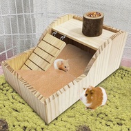 Hiasan Habitat Lucu Rumah Hamster Dengan Aksesori Sangkar Rumah Gerbil Tangga Untuk Haiwan Kecil Ham