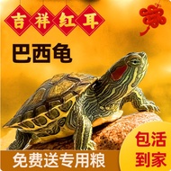 Home Goods, Educational Toys, Parent-Child Accompanying Games, Fun Fun Board Games