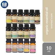 Gorgeous Jo Organic Essential Oil - Assorted Scents (10ml)