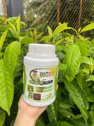 Bio 36 Siêu kích rễ kích đọt ( hàng chính hãng ) hộp 500g