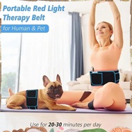 660nm&850nm Relaxing Muscle Slimming Heat Compress Waist Belt EU Plug