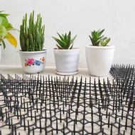 ️Products Are In Place ️Cat Stabbing Pad Cat Protection Repellent Thorn Size 34X42cm Plate Easy To U