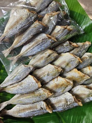 ปลาสีกุนตัวใหญ่จัมโบ้500กรัมปลาแดดเดียวเนื้อไม่แข็ง