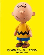 Spp的玩具 中古品 史努比 查理布郎 Snoopy Charlie Brown Peanuts Medicom VCD