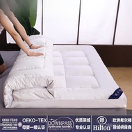 by Home Double Bed Mattress Tatami Hilton Bed Down Dormitory Extra Thick Mat Hotel Student Mattress 