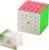 CuberShop QY X Man Hong 5x5 Ball Core UV Coated Magnetic Speed Cube, QY Toys XMan Hong 5x5 Magnetic 