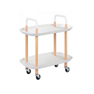 Linsy ชั้นวางของพร้อมล้อเลื่อน รุ่น LS261J3-A 2 ชั้น -