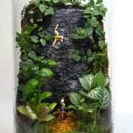 【微景觀】蘚地試煉 - 苔蘚組盆/交換禮物/攀岩/生態瓶