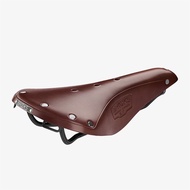 SADDLE BROOKS B17 STANDARDS