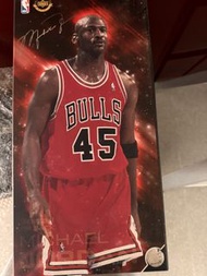 Michael Jordan 45號公仔連簽名