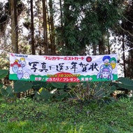 桑惠商號 昭和 日本製 富士FUJIFILM 特別色印刷廣告紀念旗幟