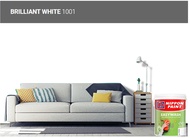NIPPON PAINT EASY WASH - 5LT BRILLIANT WHITE 1001