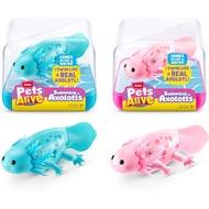 Pets Alive Swimming Axolotl Teal Robotic Pet Figure Interactive Water Pet Robotic Figure Gift for Ki
