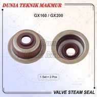 Valve Steam Valve Seal/ Valve Seal GX160 GX200
