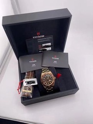 Tudor 79012 銅錶 2023年