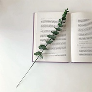 Nordic Style Simulation Money Leaf Single Eucalyptus Leaf Gray Leaf Decoration Decoration Green Plan