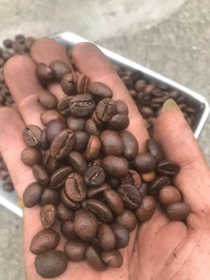 1Kg CAFE ARABICA RANG MỘC