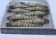 F100 越南黑美人8P草蝦/黑虎蝦(8P/淨重250克/盒)*2盒組 