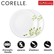 Corelle Olive Garden จานอาหาร ขนาด 8.5 นิ้ว (21.5 ซม.)จำนวน 2 ชิ้น / C-03-108-OG-2