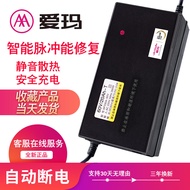 Emma Electric Car Charger Original Factory Genuine Emma Battery Car 60V 64v48v12ah72v20ah