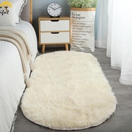 Oval Shape Plush Carpet Rug Furry Comfortable Super Soft Carpet for Office Dormitory Balcony