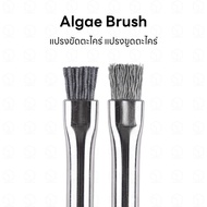 Algae Brush Scraper