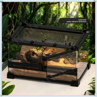 Reptile Pet Horned Frog Ecological Tank Reptile Tank Lizard Crab Tree Frog Gecko Breeding Tank Front