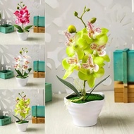 {DAISYG} Artificial Simulation Bonsai Orchid Flower Plant Vase Desktop Decor (With Pot)