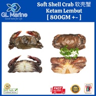 [Hot Selling][Wholesales] Soft Shell Crab /Ketam Lembut  [800GM+- / PKT ]  [Less Ais Glazing]