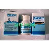 Albufit ekstrak ikan gabus albumin