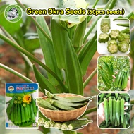 [Fast Germination/COD] High Yield Smooth Green Okra Seeds for Planting Vegetable Plants (High germin