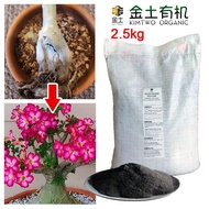 Kim Two Adenium Rescue Root Rot 2.5kg