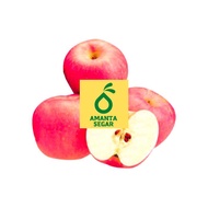 Buah Apel Fuji Premium Segar Fresh 1kg Bogor