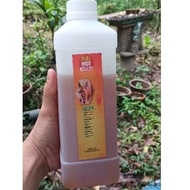 Madu Kelulut Itama 1KG